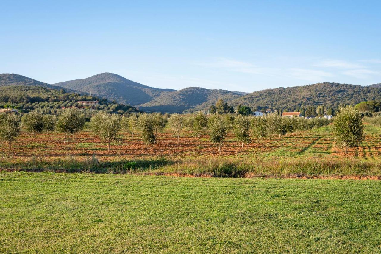 Agriturismo Terre Di Castiglione Castiglione della Pescaia Exterior photo